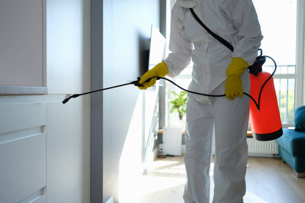 Home Mold Removal in South Cleveland, TN